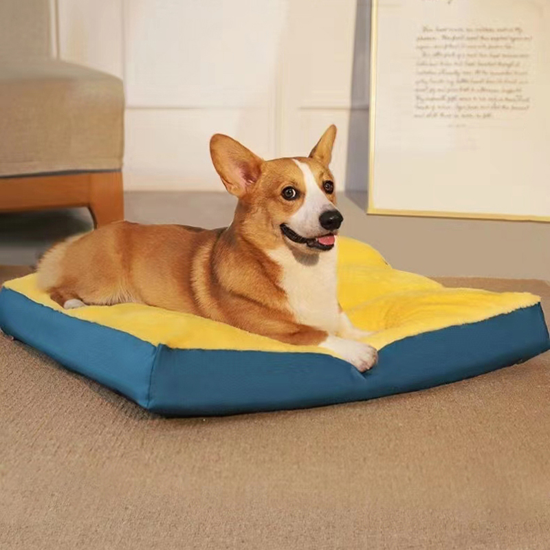 Cat Bed Cute Pets Beds for Small Medium Size Dogs Ultra Soft Comfortable Warming Square Toast Calming Sofas with Removable Washable Cover Non-Slip Bottom for Pets